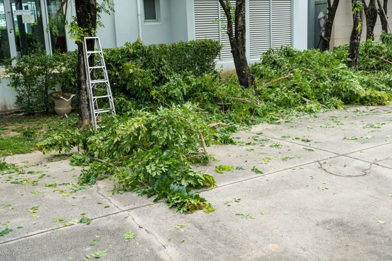 Apple Tree Removal in Allentown, PA