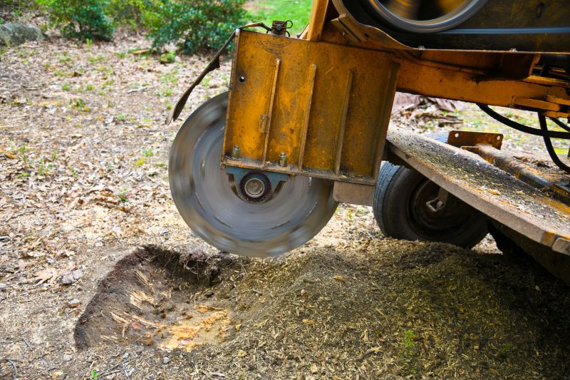 Tree Root Grinding in Aiken, SC